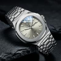 Reloj de lujo minimalista - tono gris y acero